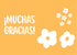 Flores 1 - Thank-you cards 14x10 - 50 pz