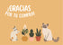 Mascotas 1 - Thank-you cards 14x10 - 50 pz